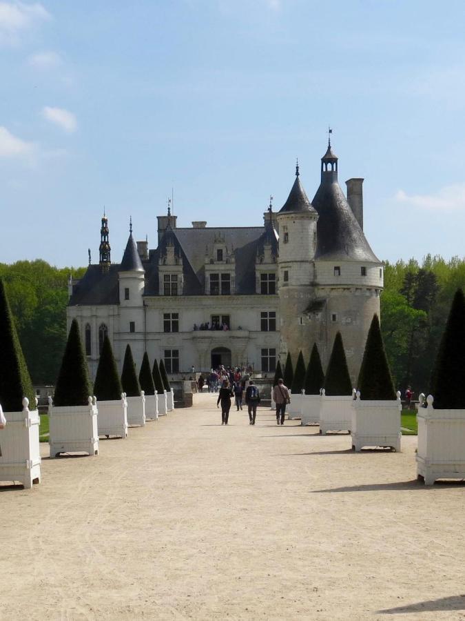 Les Coindries Villa Faye-la-Vineuse Bagian luar foto