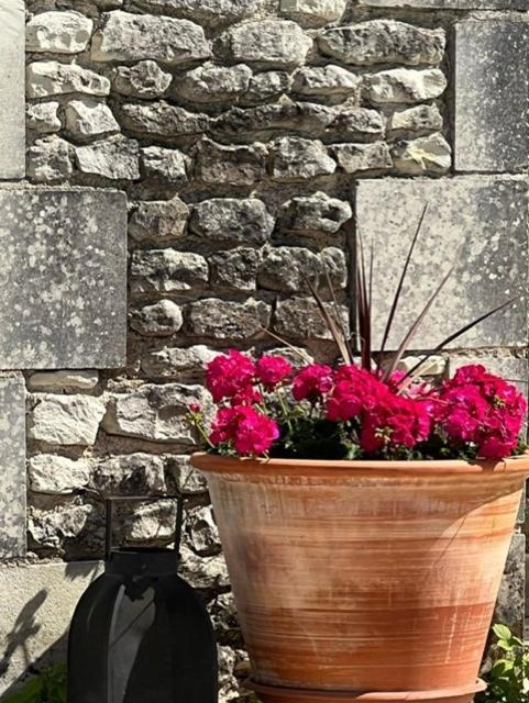 Les Coindries Villa Faye-la-Vineuse Bagian luar foto